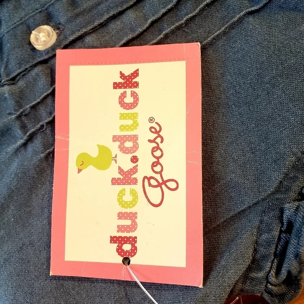 NWT Duck Duck Goose Chambrey Baby Infant Outfit 6m